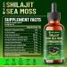 WELBUDA 10in1 Shilajit Liquid Drops with Magnesium Zinc Shilajit Irish Sea Moss Ashwagandha Cordyceps Mushroom Tongkat Ali Stinging Nettle Root Rhodiola Rosea - 1 FL Oz - 60 Day Supply - Buy Online on GoSupps.com
