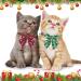 ADOGGYGO Christmas Cat Collars 2-Pack: Red Green Plaid with Snowflake Design and Bell, Stylish Breakaway Kitten Collar with Removable Bowtie for Cats Kittens - Buy Online on GoSupps.com
