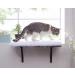 SWEETGO Cat Window Perch Shelf Bed - DIY Kitty Sill Mount, Funny Sleep Cat Seat - Washable Foam, Easy Install - Buy Online on GoSupps.com