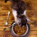 2 Pc Stainless Steel Pet Can Spoons - White & Black Cat Claw Spoon for Dog and Cat Food Cans - Buy Online on GoSupps.com