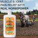 Absorbine Veterinary Liniment Gel 12 oz - Topical Menthol Analgesic for Pain Relief - Buy Online on GoSupps.com