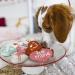 W fers Handmade Dog Cookie Box - Locally Sourced Ingredients | Sweet Nothings - Buy Online on GoSupps.com