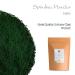 Buy Organic Spirulina Powder - Premium Algae Supplement 200g (1 Pack) - Boost Energy & Wellness - Buy Online on GoSupps.com