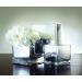 Rust-Oleum 267727 Specialty Mirror Spray  6-Ounce  Silver 6 Ounce Silver - Buy Online on GoSupps.com