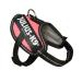 Julius-K9 IDC Powair Dog Harness Size: 2XS / Baby 2 Pink Pink 2XS/Baby 2