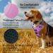 Funfox No Pull Dog Harness for Small Dogs | Adjustable & Breathable Safety Harness | Pink | Perfect for Medium & Small Breeds - Buy Online on GoSupps.com