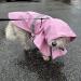 Ocsoso Waterproof Dog Rain Jacket with Hood - Light Reflective Raincoat for Small & Medium Dogs - Ideal Rainwear Protection (Pink S) - Buy Online on GoSupps.com