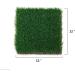 MEEXPAWS Chicken Nesting Box Pads 12x12 - Artificial Grass, Sturdy & Washable - 2 Count - Buy Online on GoSupps.com