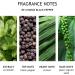 Molton Brown Re-Charge Black Pepper Shower Gel - Buy Online on GoSupps.com
