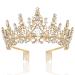 TOBATOBA Gold Crown for Women Gold Tiara Birthday Queen Crown Wedding Tiara for Women Crystal Tiaras and Crowns Royal Princess Quinceanera Headpieces for Prom Pageant Bride Halloween Cosplay