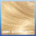 Clairol Nice'n Easy Cr me Oil Infused Hair Dye SB1 - Ultra Light Natural Beach Blonde (1 Count) - Buy Online on GoSupps.com