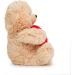 Feel Better Teddy Bear with Red Heart | Get Well Soon Gifts for Men, Women & Kids | Stuffed Animal Bear with Get Well Soon Card - Buy Online on GoSupps.com