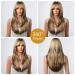 Shop Testar Blonde Brown Ombre Wigs for Black Women | Long Layered Heat-Resistant Synthetic Wig for Daily & Party Use - Buy Online on GoSupps.com