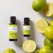 Plant Therapy Key Lime Essential Oil 10 mL (1 oz) 100% Pure Undiluted Natural Aromatherapy for Diffusion is Uplifting and Energizing - Buy Online on GoSupps.com