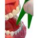 Buy Durable Dental Floss Holder in Blue Yellow & Green Ideal for International Shipping - Buy Online on GoSupps.com