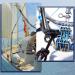 Removable Dock Line Chafe Guard - 14 Inches Length - Black Rope Chafe Guard for Boat - Buy Online on GoSupps.com