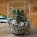 Natural Stone Small Decorative Mixed Color Pebbles 2.2lb - Aquarium Gravel & River Rock for Succulents, Bonsai, Cactus - Multicolor - Buy Online on GoSupps.com