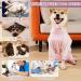 Lelepet One - Divider for Dogs | Medical Protective Suit for Small to Large Breeds | Post-Op Recovery Shirt & Wound Protection Pajamas | Pink M - Buy Online on GoSupps.com