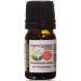 TVaromatics Organic Cassia of China 100% Pure Essential Oil 1/6 fl oz (5 mL) - Cinnamomum cassia Cassia 0.17 Fl Oz (Pack of 1)