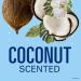 Secret Invisible Solid Antiperspirant & Deodorant Coconut Scent - 2.6 oz (Pack of 3) | Buy Internationally - Buy Online on GoSupps.com