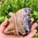 Natural Crystal Rough Natural Crystal Rough Raw Natural Amethyst Quartz Crystal Stone Cluster Angel Wing Carvings for Home Collection Home Decoration 1pc - Buy Online on GoSupps.com
