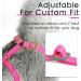Thinkpet No-Pull Dog Harness Leash Set - Breathable Adjustable Safety Harness for Small Medium & Large Dogs - Perfect for Running - Pink Red - Buy Online on GoSupps.com