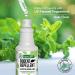 Mighty Mint 16oz Peppermint Oil Rodent Repellent Spray - Natural Pest Control Solution - Buy Online on GoSupps.com