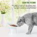 Elevated Tilted Cat Bowls - Set of 15 | Raised Anti-Vomiting Dishes for Cats | White Cat Feeding Station with Spine Protection - Buy Online on GoSupps.com