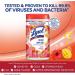 Lysol Mango & Hibiscus Disinfectant Wipes - 80 Count, Pack of 4 | Multi-Surface Cleaning and Disinfecting - Buy Online on GoSupps.com