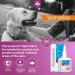 ICF | Clorexyderm Spot Gel | Advanced Cat & Dog Skin Care Gel for Itchy Skin & Wound Relief | Soothes and Moisturizes Irritated Skin | Liquid Plaster | Ideal for Paws Skin Folds and Localized Issues - Buy Online on GoSupps.com