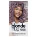 Clairol Blonde It Up Crystal Glow Toner Kit - Sheer Amethyst Sheer Amethyst 135 ml (Pack of 1)