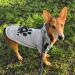 Dolahovy Dogs Hoodie - Stylish Winter Sweater Vest for Small & Medium Dogs Cats | Cozy Autumn Pet Outfit for Chihuahuas & Teddy Breeds - Size 3XL Gray - Buy Online on GoSupps.com