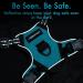Rabbitgoo No Pull Dog Harness for Small Dogs - Adjustable Breathable Safe Blue-Green XS (1 Pack) - Perfect for Training & Cuddling - Buy Online on GoSupps.com