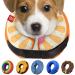 Ducomi inflatable hinges of the dog and cat - for operations relaxation of the animal - freedom in the event of movements and visibility - prevents scratches and bites (apple XL) XL apple