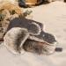 Kurhatic Winter Trapper Hat - Brown-2 Large - Unisex Faux Fur Aviator Hat with Ear Flaps - Buy Online on GoSupps.com