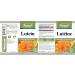 VORST Premium Grape Seed 60 Capsules and Lutein 60 Capsules and Beta Carotene 90 Capsules | Eye Health and Antioxidant supplements | (Combo Bundle 3 Bottles) - Buy Online on GoSupps.com