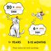 Dreamies Variety Stocking Adult Cat Treats 5 x 30g bags (1 X Stocking) 150 g (Pack of 1) - Buy Online on GoSupps.com