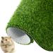 Artificial Grass Guinea Pig Pee Pad Combo - Set of 2 | 15.7x23.6 Inch Training Turf for Small Pets - Buy Online on GoSupps.com
