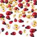 50 Pieces Tiny Resin Bees Ladybugs  Including 25 Pieces Tiny Resin and 25 Pieces Ladybugs for Crafts Wreath Scrapbooking DIY Party Decoration (0.98 Inch  0.74 Inch  0.51 Inch)