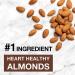 KIND Almond Butter Dark Chocolate Protein Bars - Gluten Free, 12g Protein - Buy Online on GoSupps.com