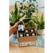 Organic Haskap Juice 6-Pack (6x250ml) - 100% Cold-Pressed Vegan Non-GMO - Berriespolska Kamchatka Berry - Buy Online on GoSupps.com