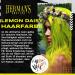 Hermans Amazing semi-permanent Hair Color Lemon Daisy 100% vegan and not tested on animals 115ml - Buy Online on GoSupps.com
