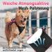 Rabbitgoo Breaking-Safe Dog Harness for Medium Dogs - Adjustable Breathable Padded Vest with Handle - Ideal for Training & Safety - Pink - Buy Online on GoSupps.com