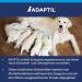Adaptil Calm Start Set - Relaxation Solution for Dogs | Fast International Shipping - Buy Online on GoSupps.com