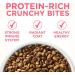 Purina ONE Healthy Kitten Formula - Nutrient-Rich Kitten Food for Growth - Buy Online on GoSupps.com