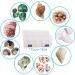 Hermit Crab Shells Set - 17PCS of 9 Types, Medium to Small Growth Turbo Seashells 0.6-1.6 Inch, Various Opening Sizes, Natural - Buy Online on GoSupps.com