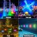4-Piece Underwater LED Pool Lights with Remote Control - Waterproof RGB Color Changing Lighting for Pools Fountains Ponds & Aquariums | YCD-4 - Buy Online on GoSupps.com