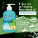 Germ-X Antibacterial Hand Soap 12 oz Pump Bottle Pack of 4 - Moisturizing & pH Balanced for Kitchen or Bathroom - Dermatologist Tested - Spring Rain Scent - Buy Online on GoSupps.com