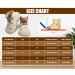 Dookeh Baby Shoes - Non-Slip Soft Sole Sneakers for Toddler Boys and Girls 9-12 Months - Brown - Buy Online on GoSupps.com