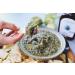 Madhava Organic Amber Agave 46oz - Pack of 2 | Pure and Natural Sweetener - Buy Online on GoSupps.com